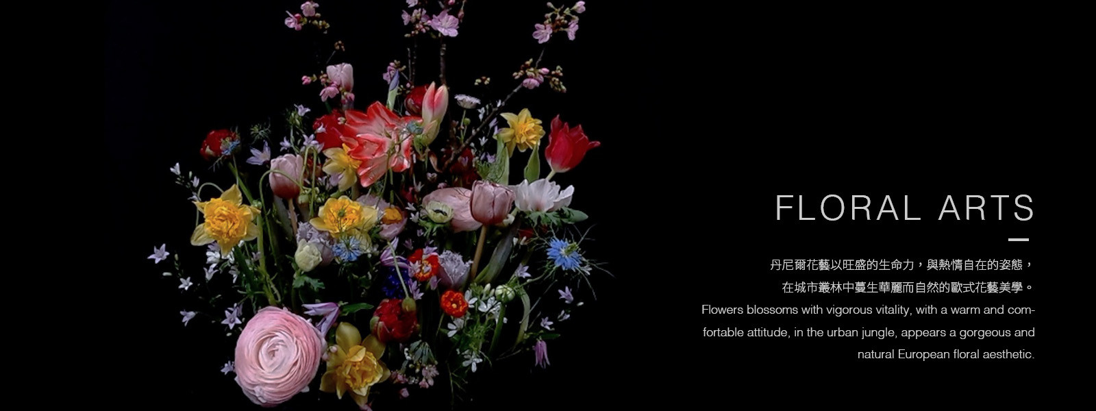 slideshow20
