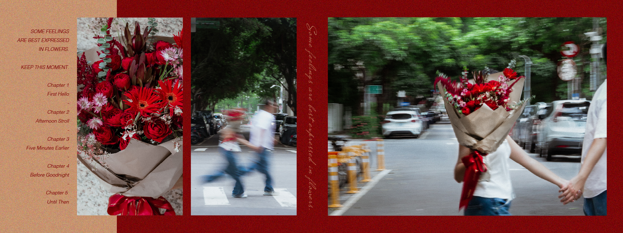 slideshow238