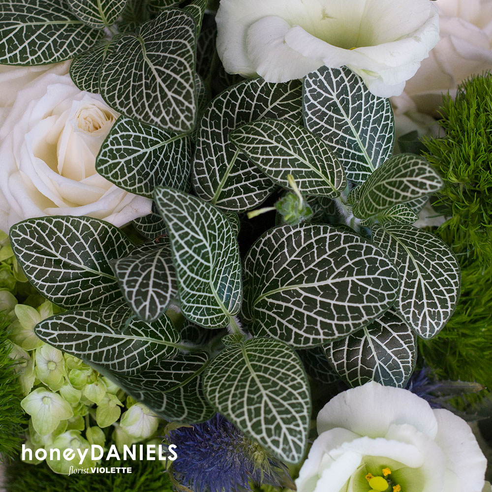 Honeydaniels Florist 丹尼爾花藝