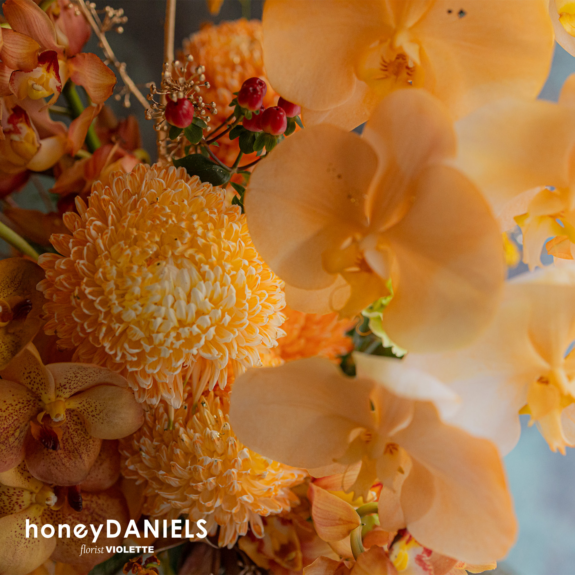 金禧・晶盞【 1/23後依序出貨 】