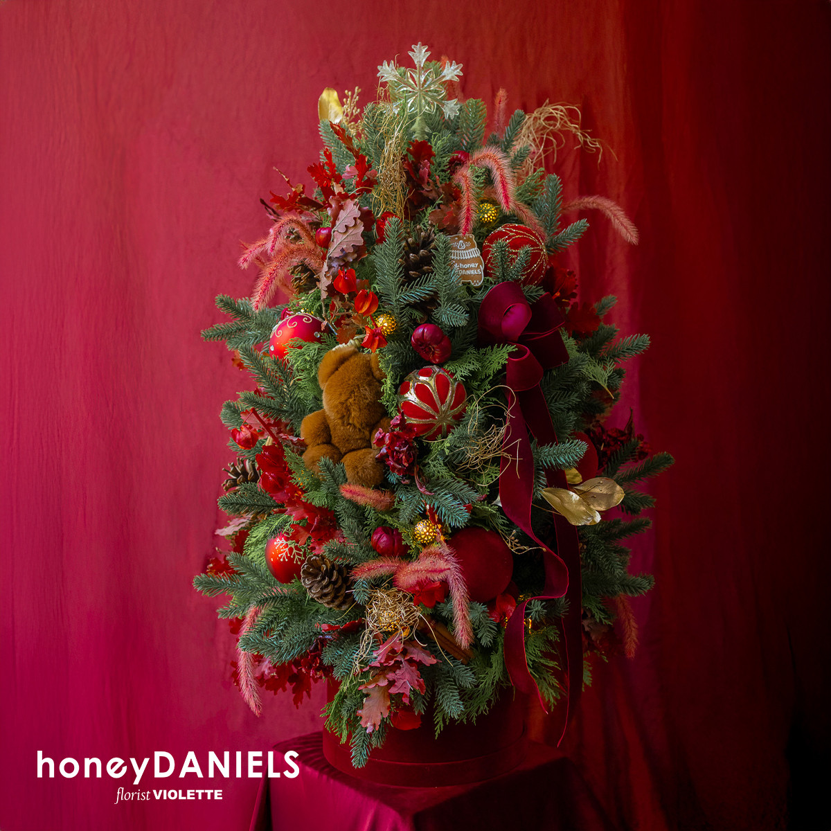 星願紅・聖誕樹【 11/25依序出貨 】