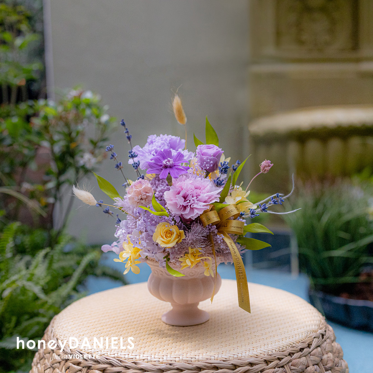 馥野花田 Scented Wild 恆星花【 4.24後依序出貨 】