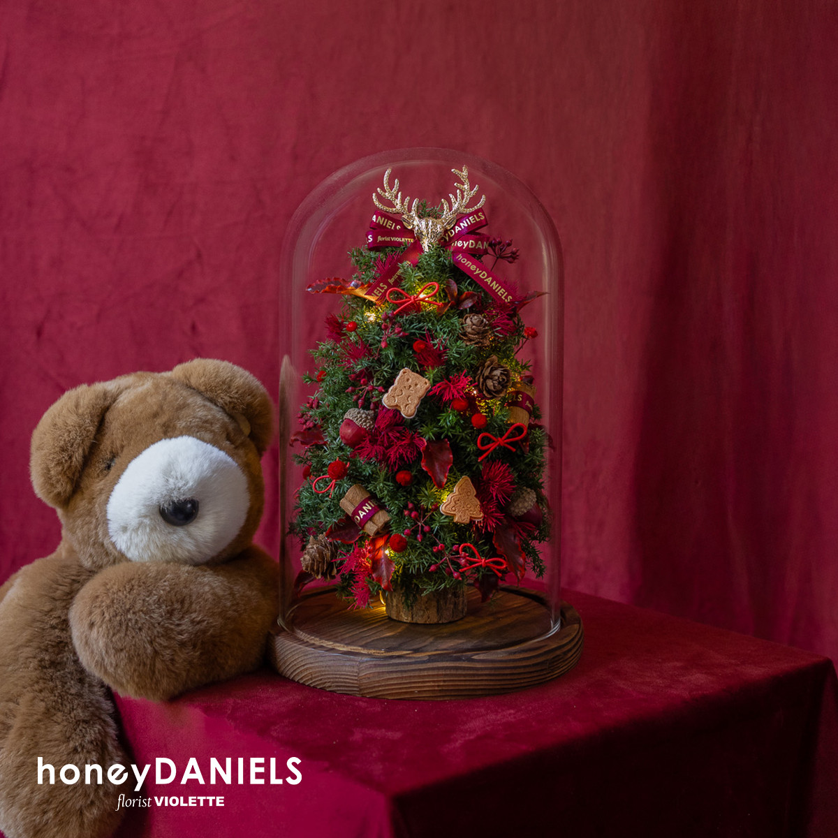 星願紅・恆星鍾罩聖誕樹【 11/20依序出貨 】