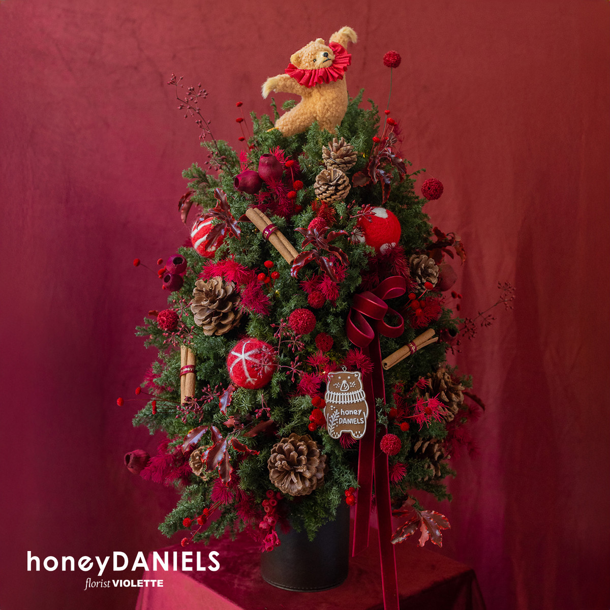 星願紅・恆星聖誕樹【 11/20依序出貨 】