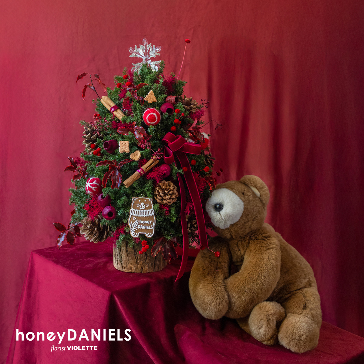 星願紅・恆星聖誕小樹【 11/20依序出貨 】