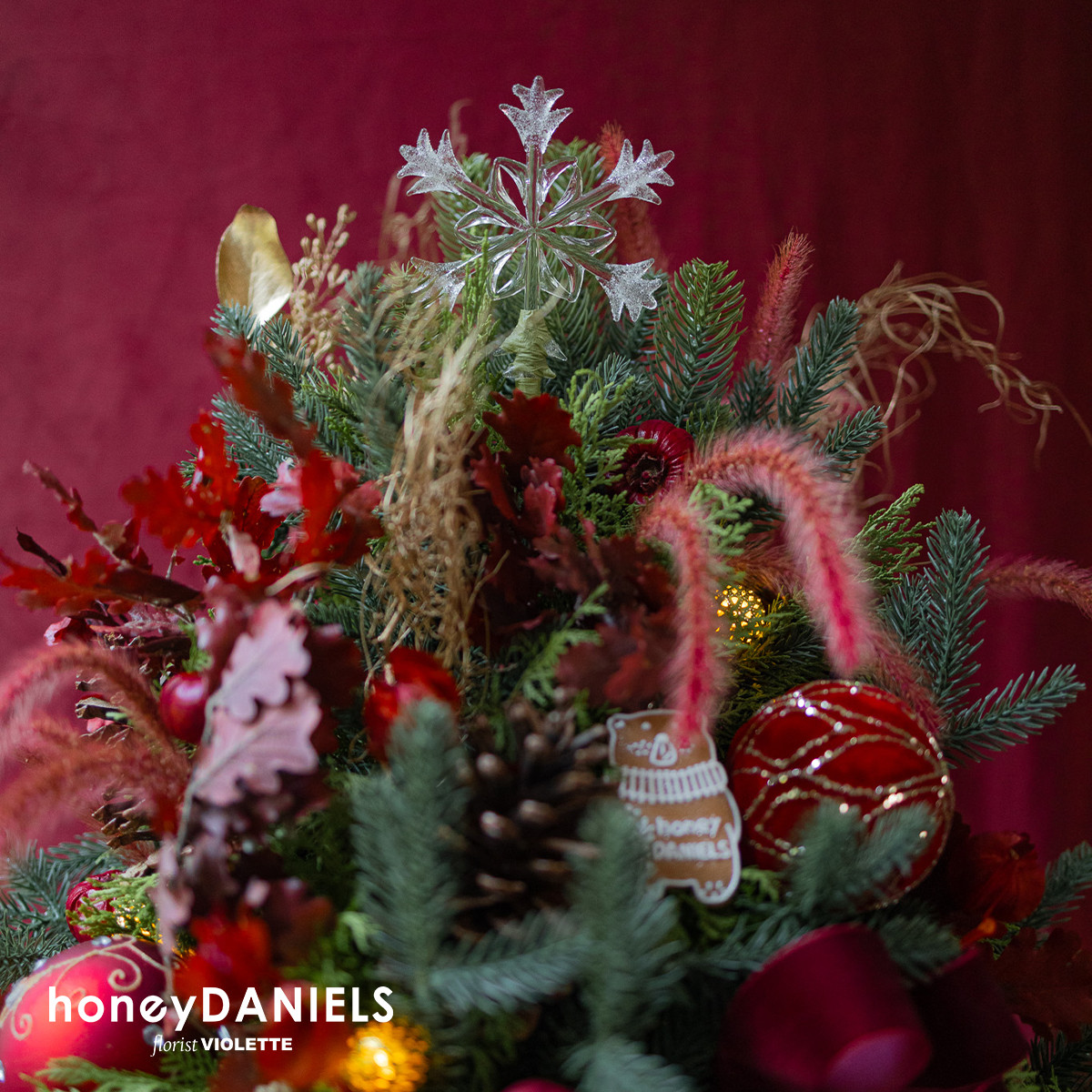 星願紅・聖誕樹【 11/25依序出貨 】