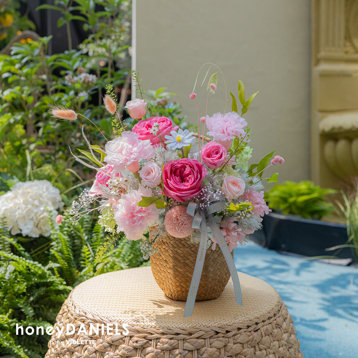 花漫羅亞爾 Bloom Loire 恆星花【 4.28後依序出貨 】