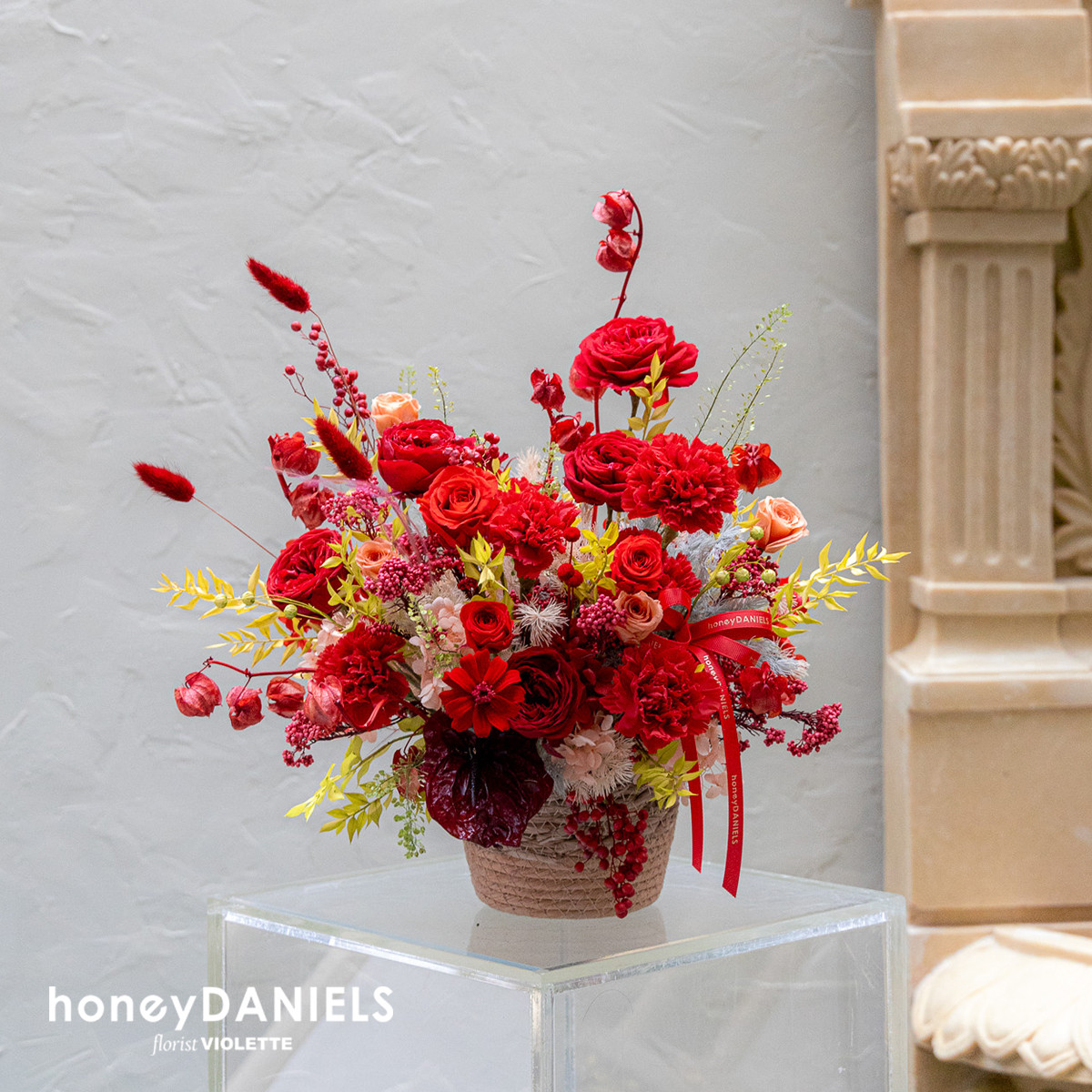 賽維亞之庭 Sevilla Palacio 恆星花【 4.28後依序出貨 】