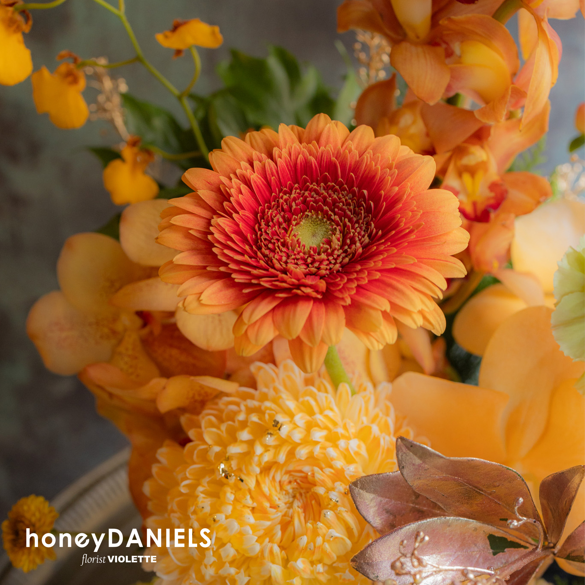 金禧【 1/15後依序出貨 】