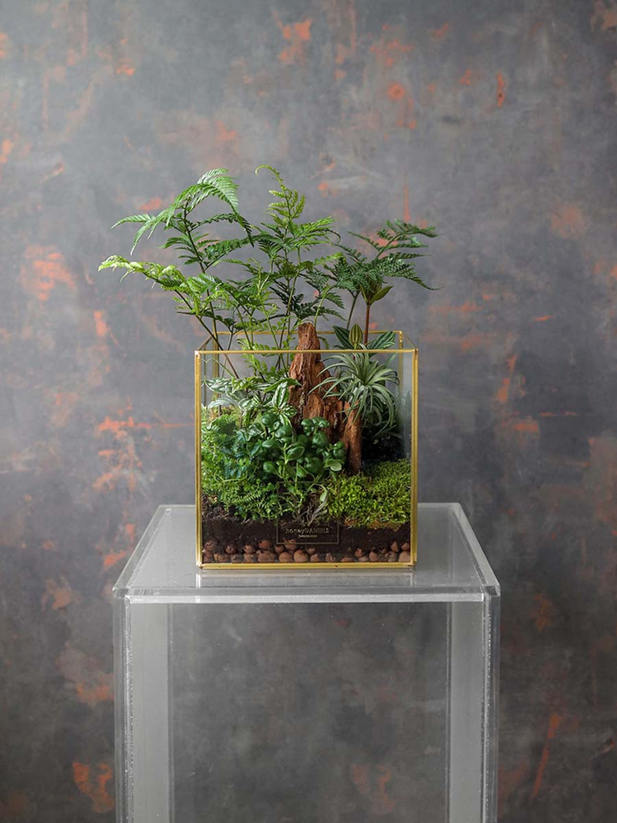 父親節花禮